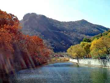 新澳天天开奖资料大全旅游团，阿秀